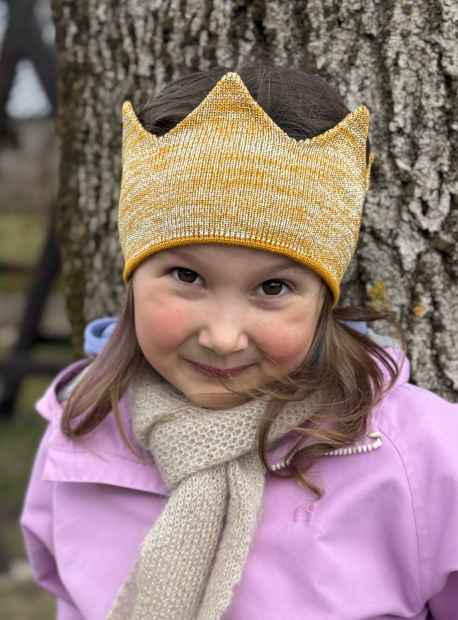 Merino vilnas kronis